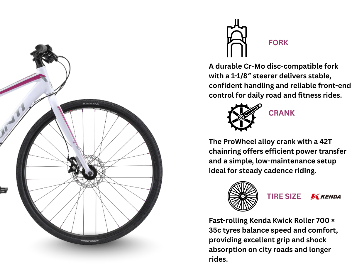 Avanti Giro FM1 - Women Bicycle