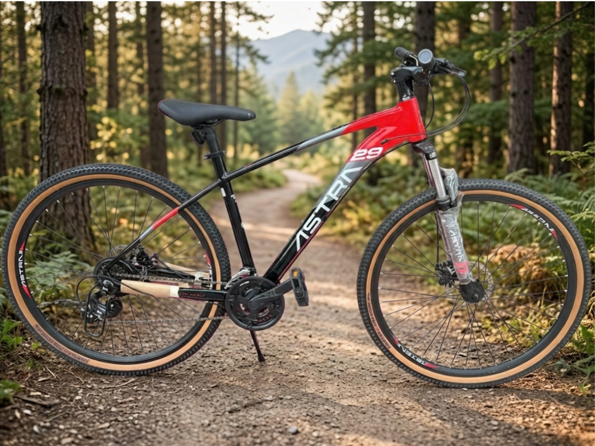 Astra 29 Bolt 21 Spd FS D/Disc Bicycle