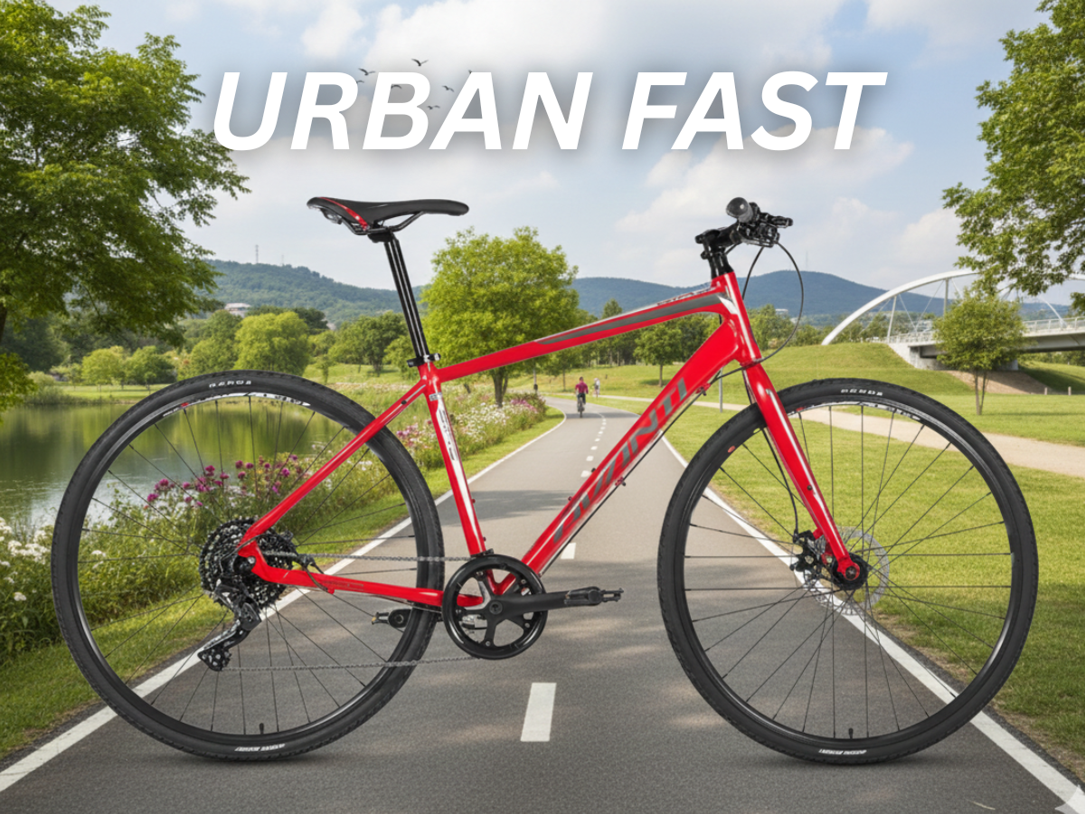 Avanti Giro FM 1 Bicycle