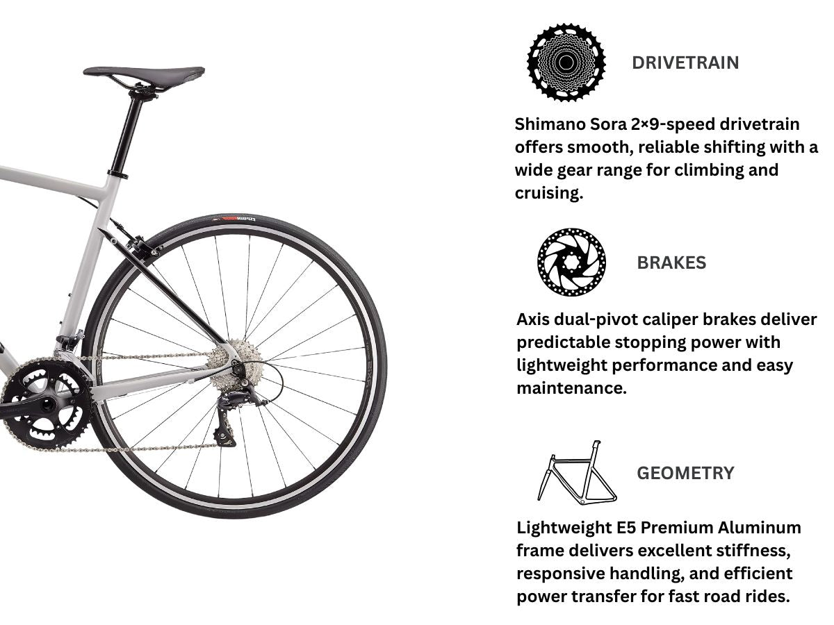 Specialized Allez Sport 700C - Caliper Brakes