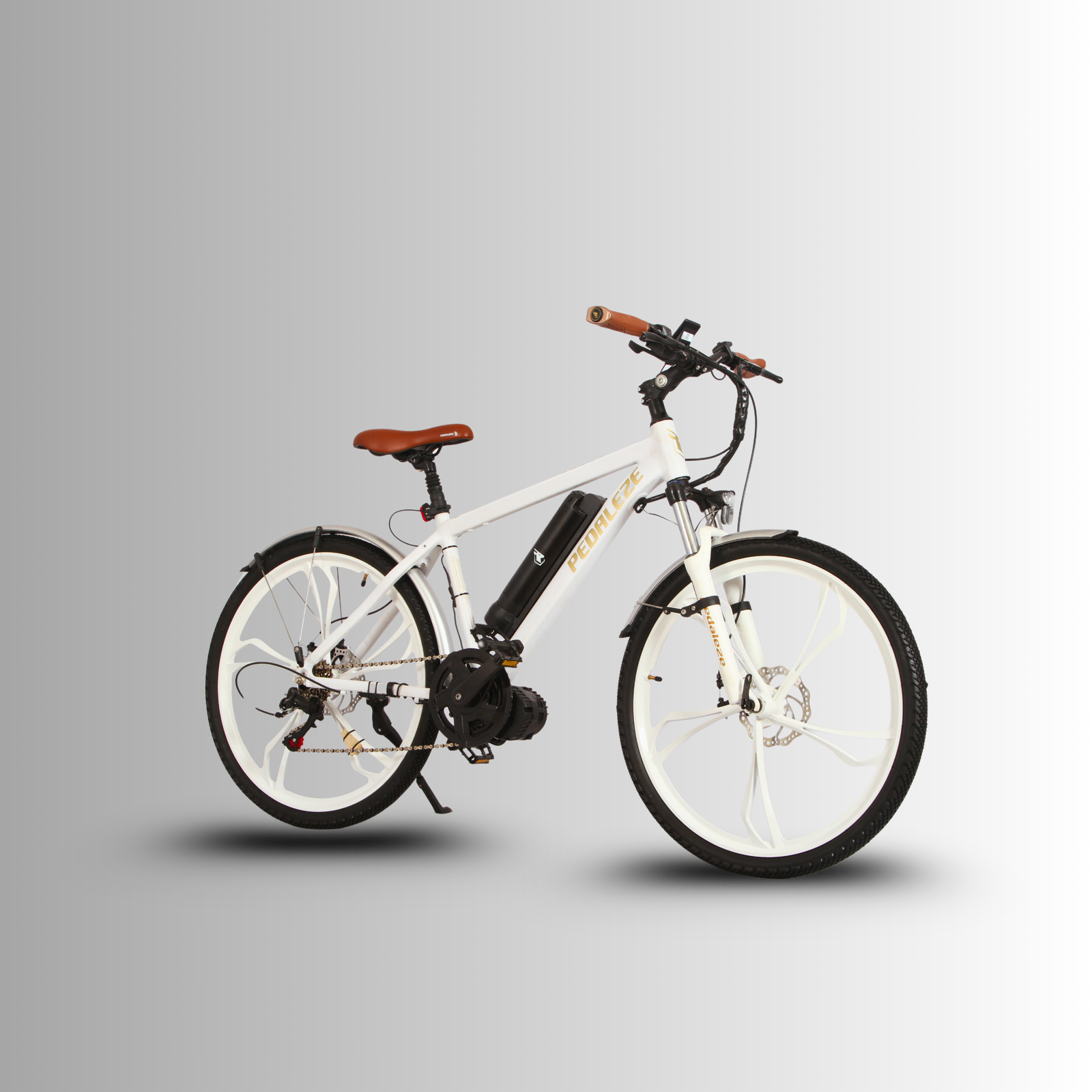 PeDaleze O2 Plus E Bicycle