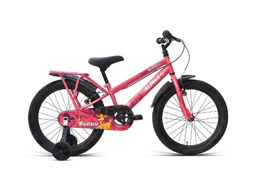 NINETYONE 20 BUCKY BICYCLE