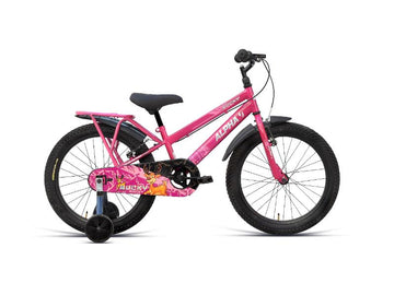 NINETYONE 20 BUCKY BICYCLE