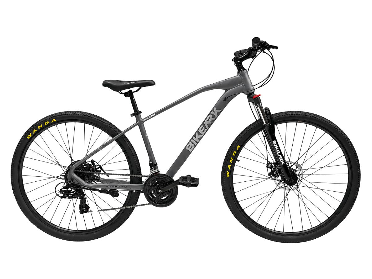 Bike Ark 29 God Speed 21-Spd FS D/Disc Bicycle