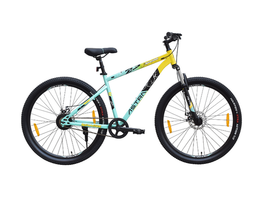 ASTRA 29 NEMESIS SS D/DSIC BICYCLE