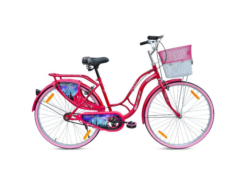 Stryder 26 Galaxia IC Bicycle