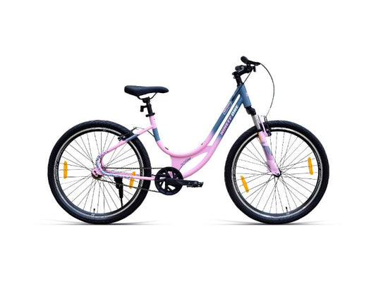 Ninetyone 26 Saturn Ladies Bicycle