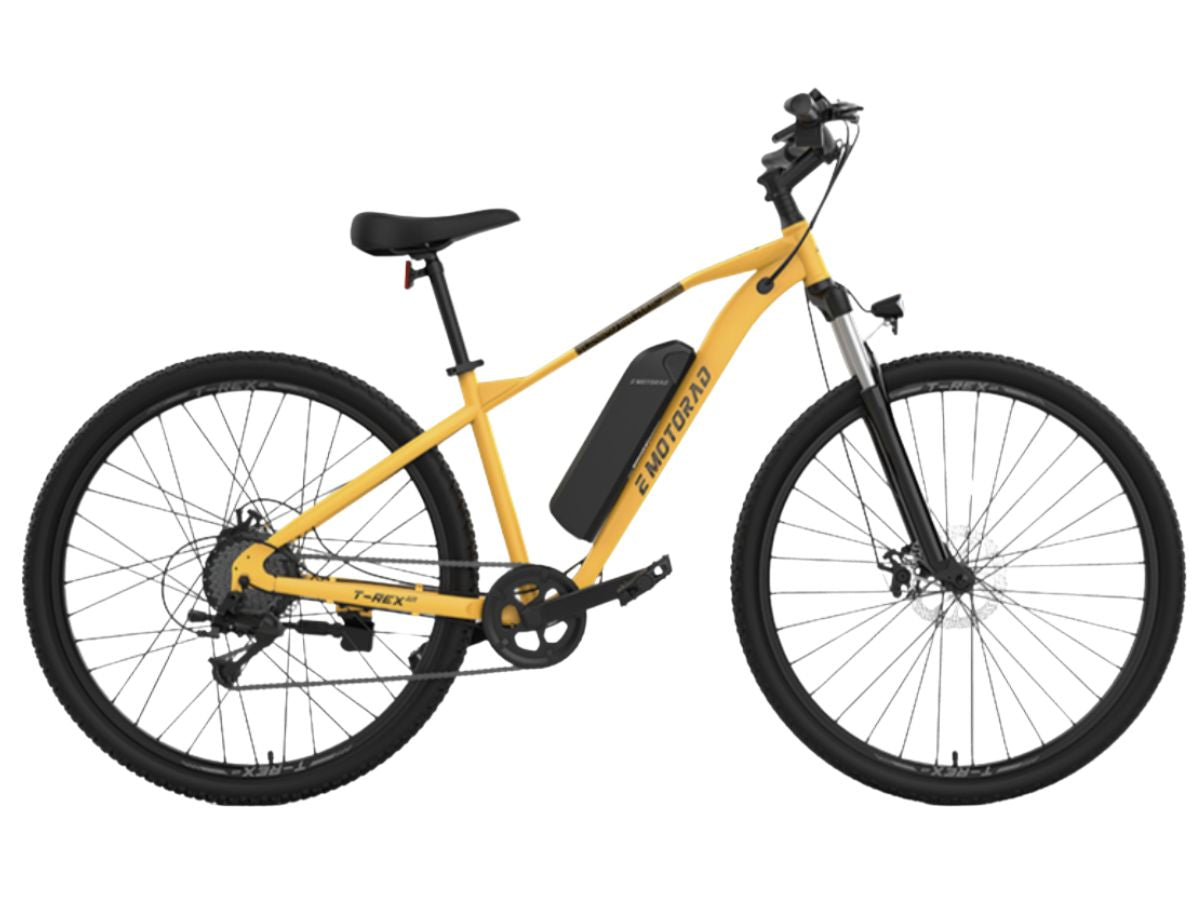 EMotorad 29 T-Rex Air E-Bicycle