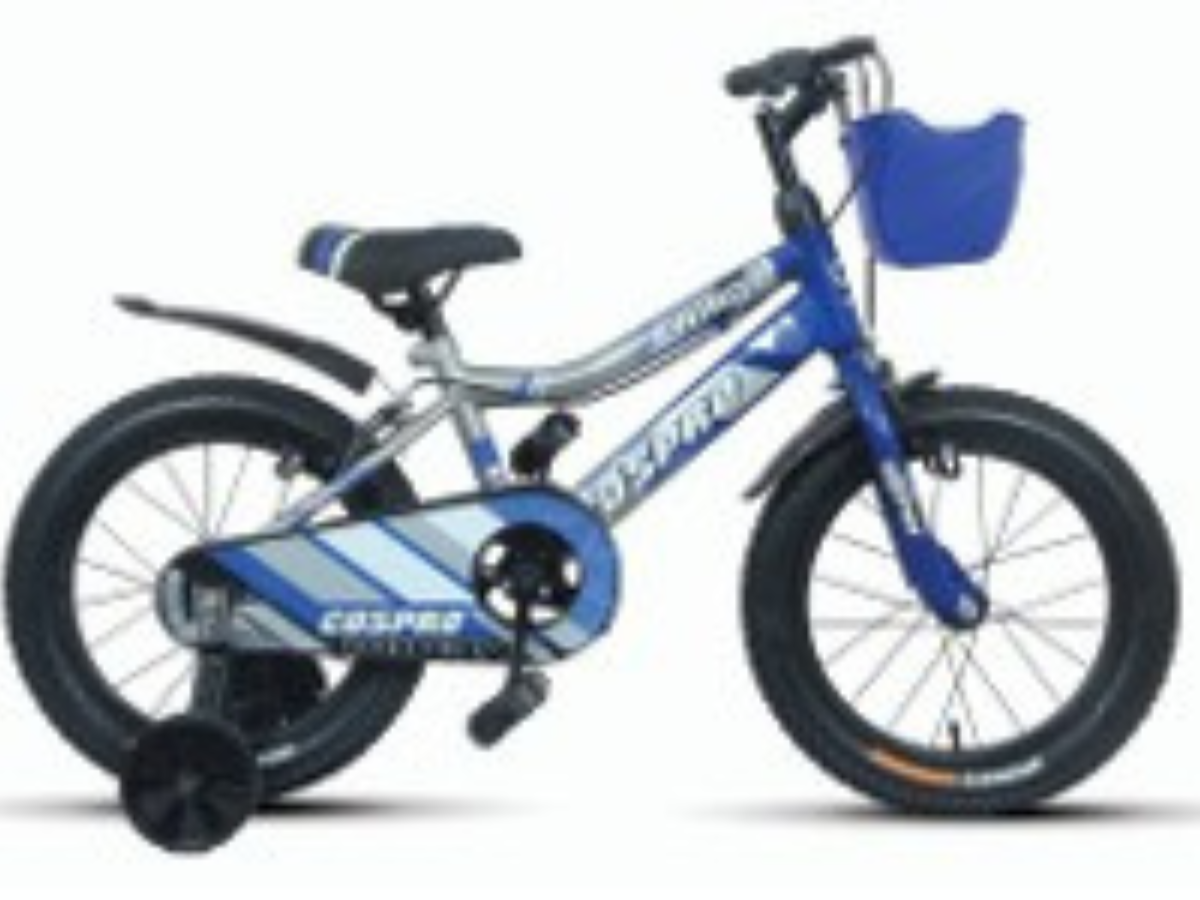 Cospro 20 Windy Bicycle