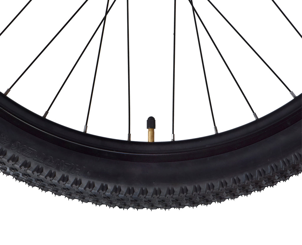 Firefox 29 Mountana Disc 21 Speed Bicycle