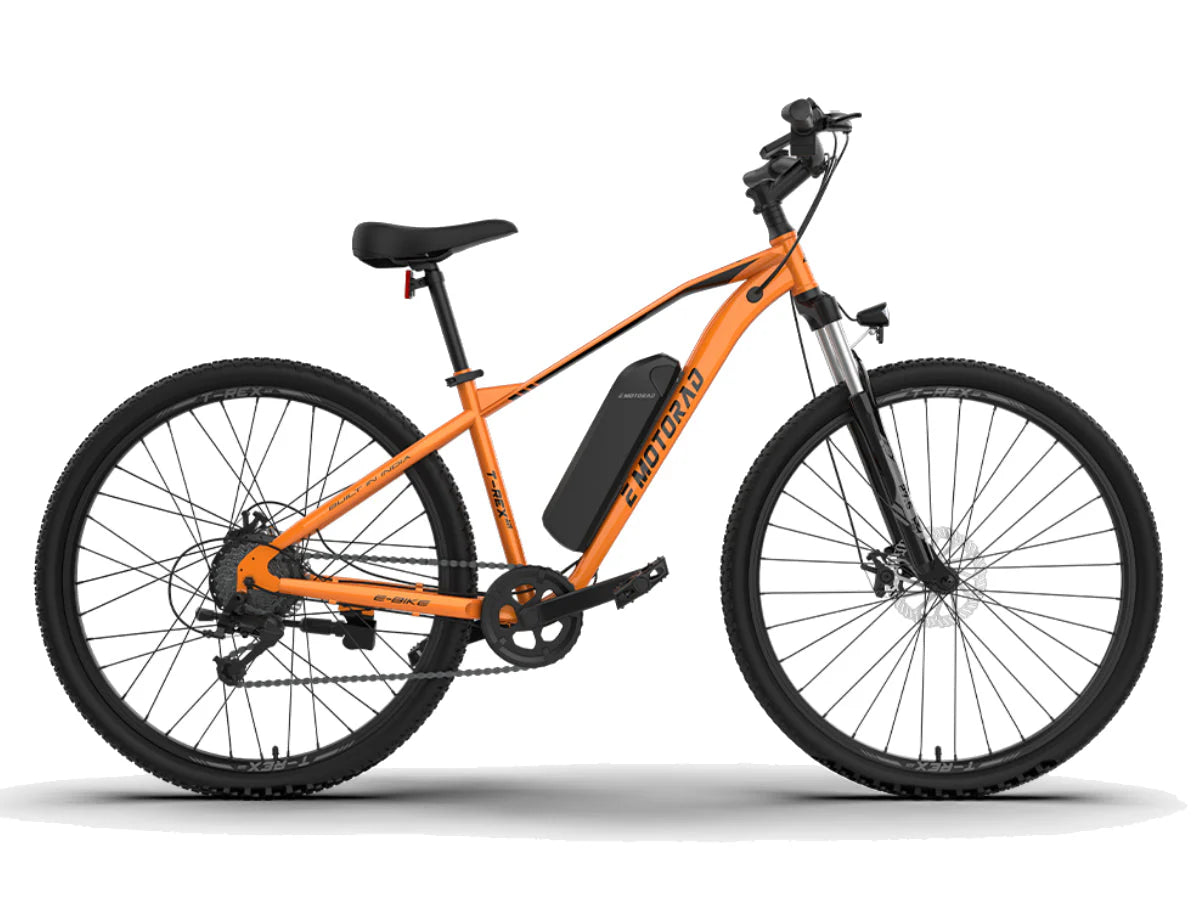 EMotorad 29 T-Rex Air