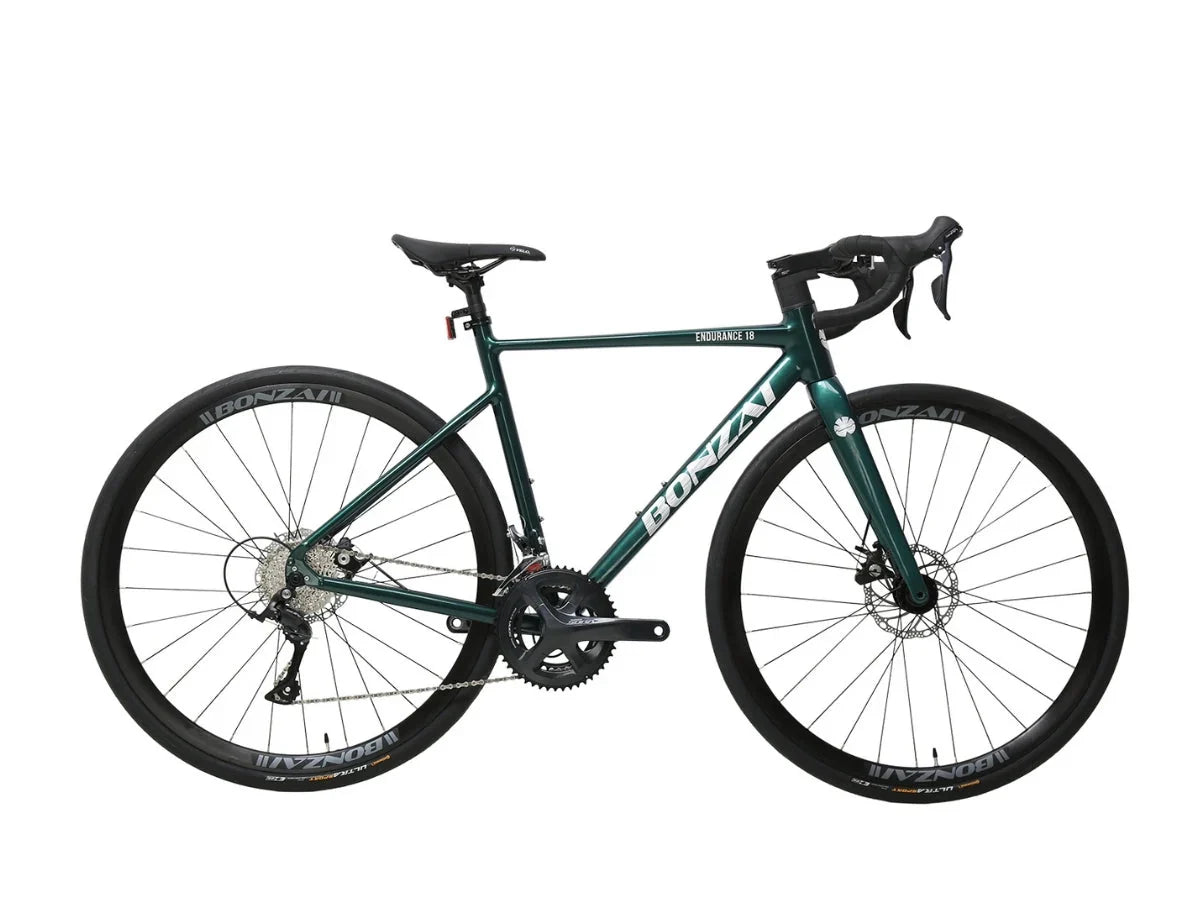 Bonzai Endurance18 Road Bike - Text Review