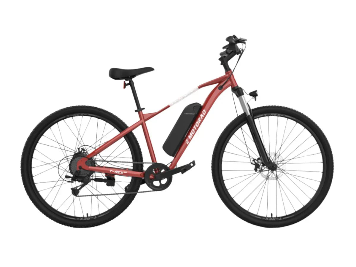 EMotorad T-Rex Air 27.5 - Text Review