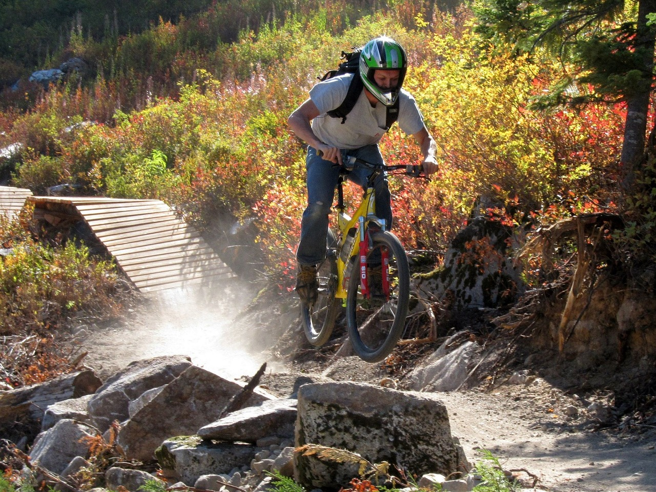 MTB - Geared Bicycles