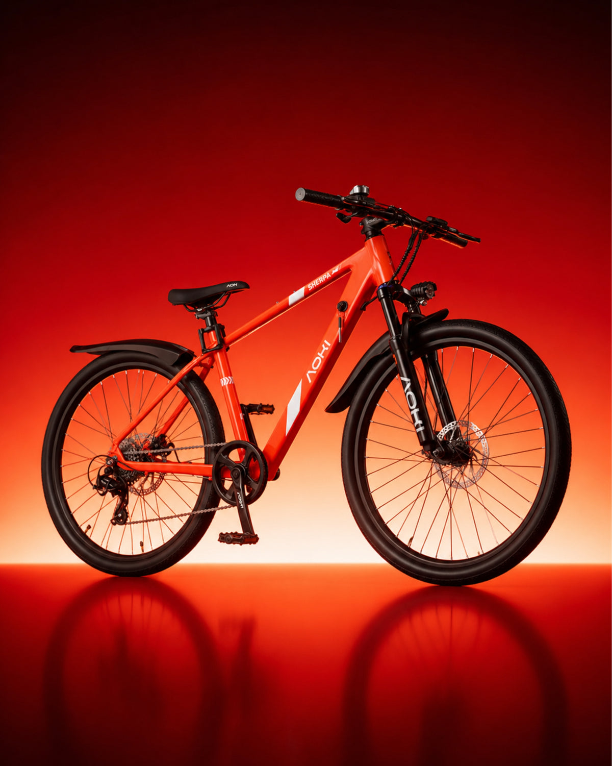 Electric Bicycles