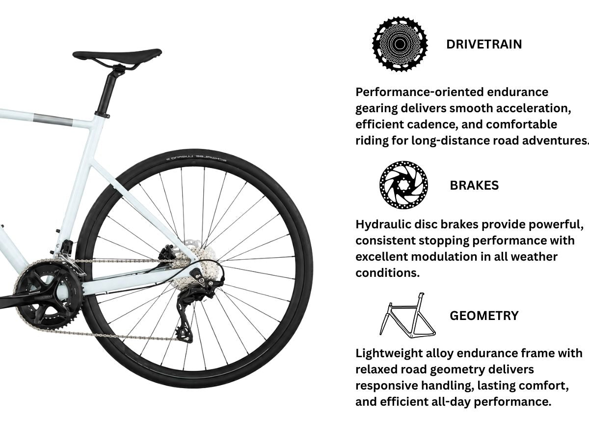 Scott Speedster 10 Cumulus White Endurance Road Bike