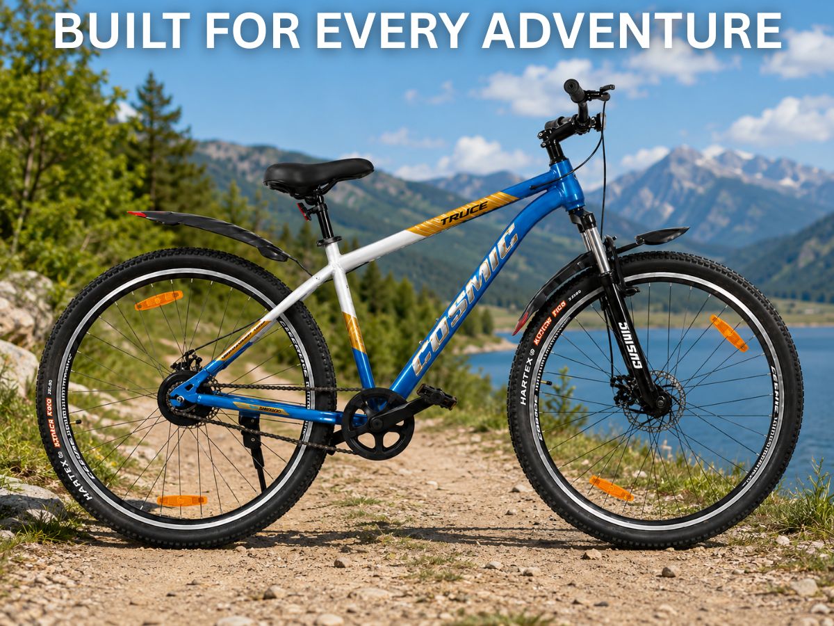 Cosmic 29 Truce Sports FS D/Disc Bicycle