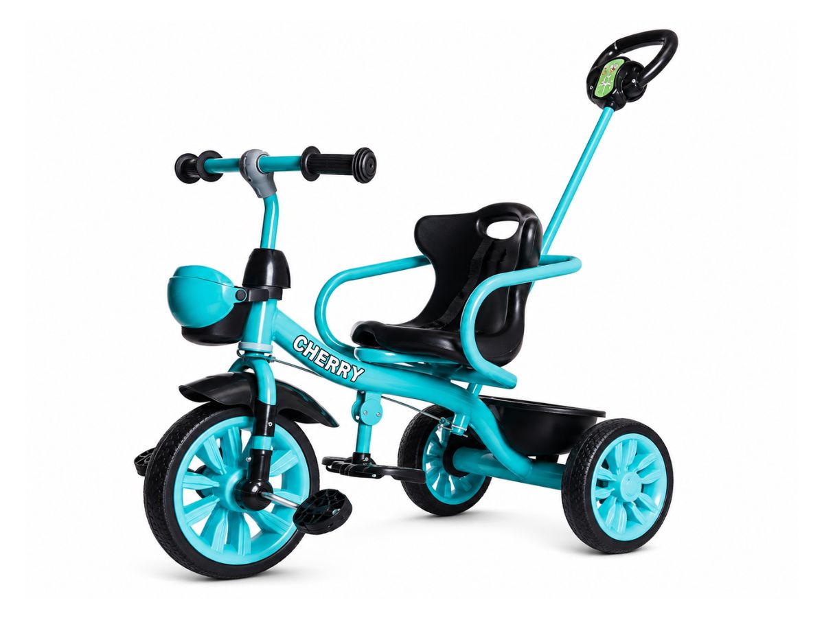 Panda Cherry Tricycle