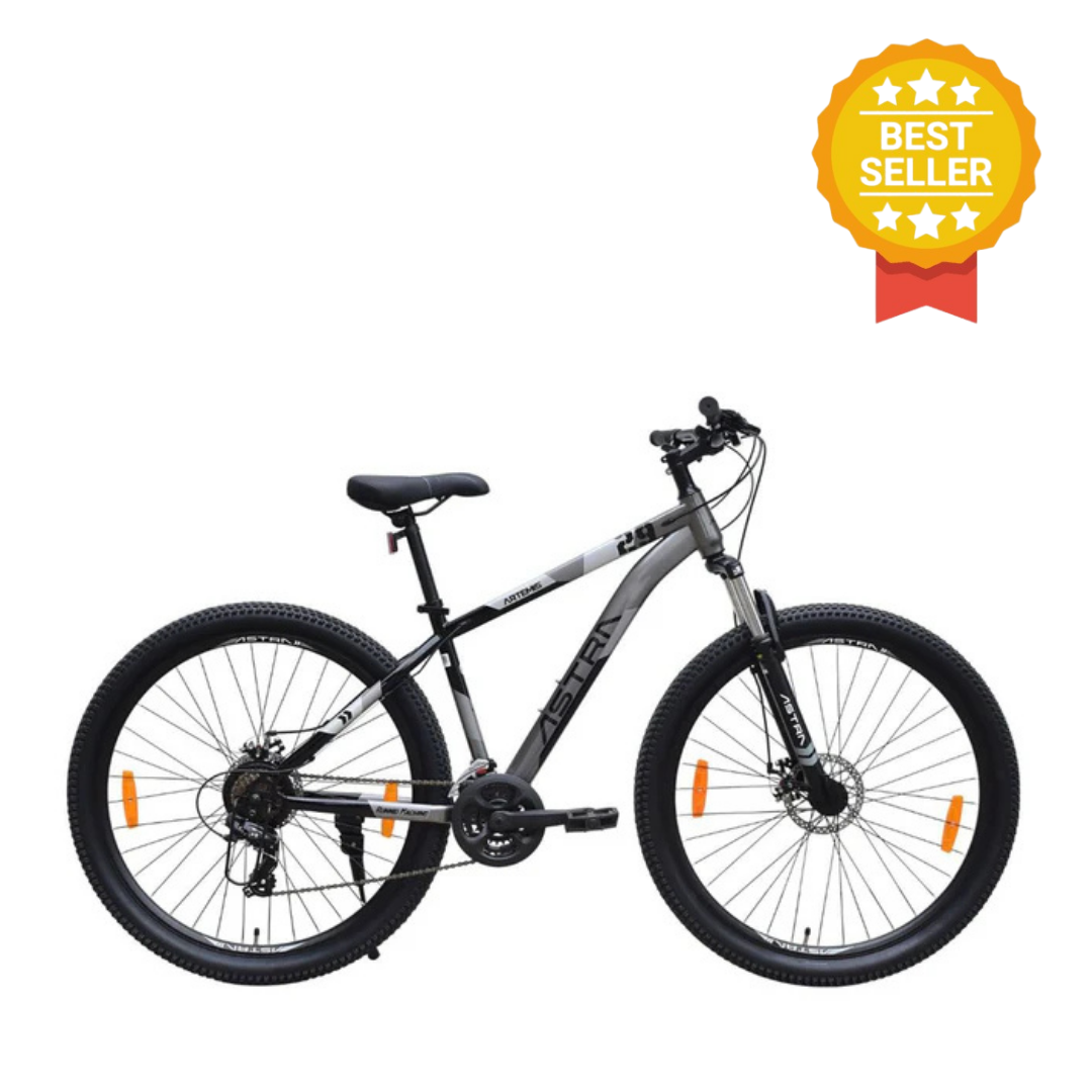 Astra 29 Artemis 21 Spd D/Disc Bicycle