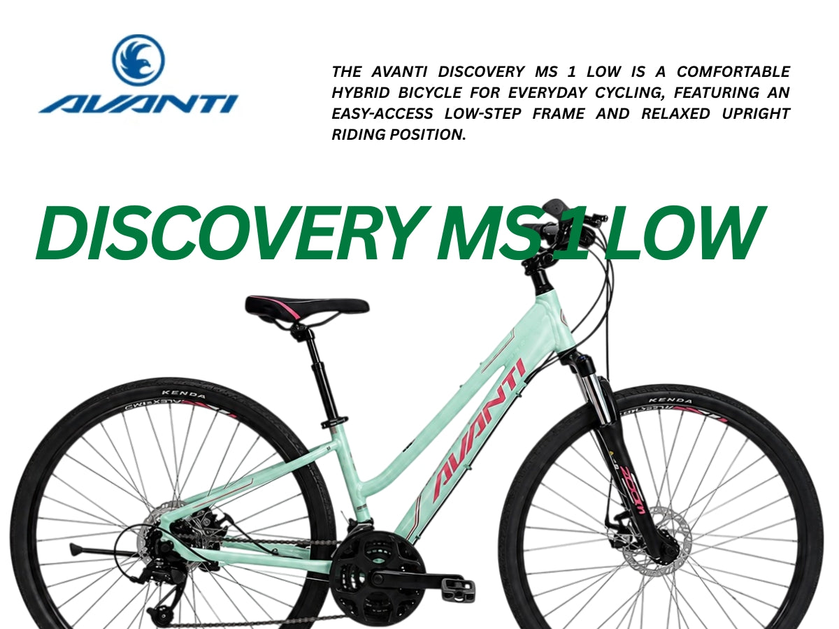 Avanti Discovery MS-1 Low Bicycle