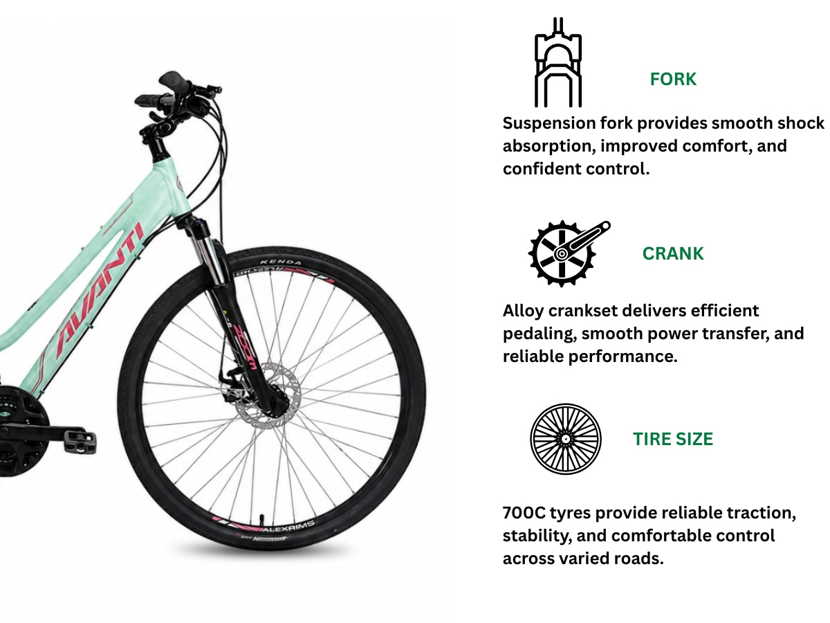 Avanti Discovery MS-1 Low Bicycle