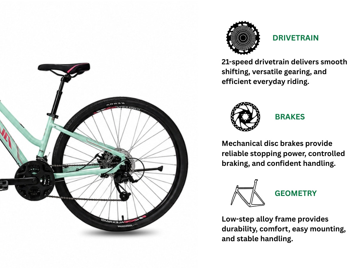 Avanti Discovery MS-1 Low Bicycle