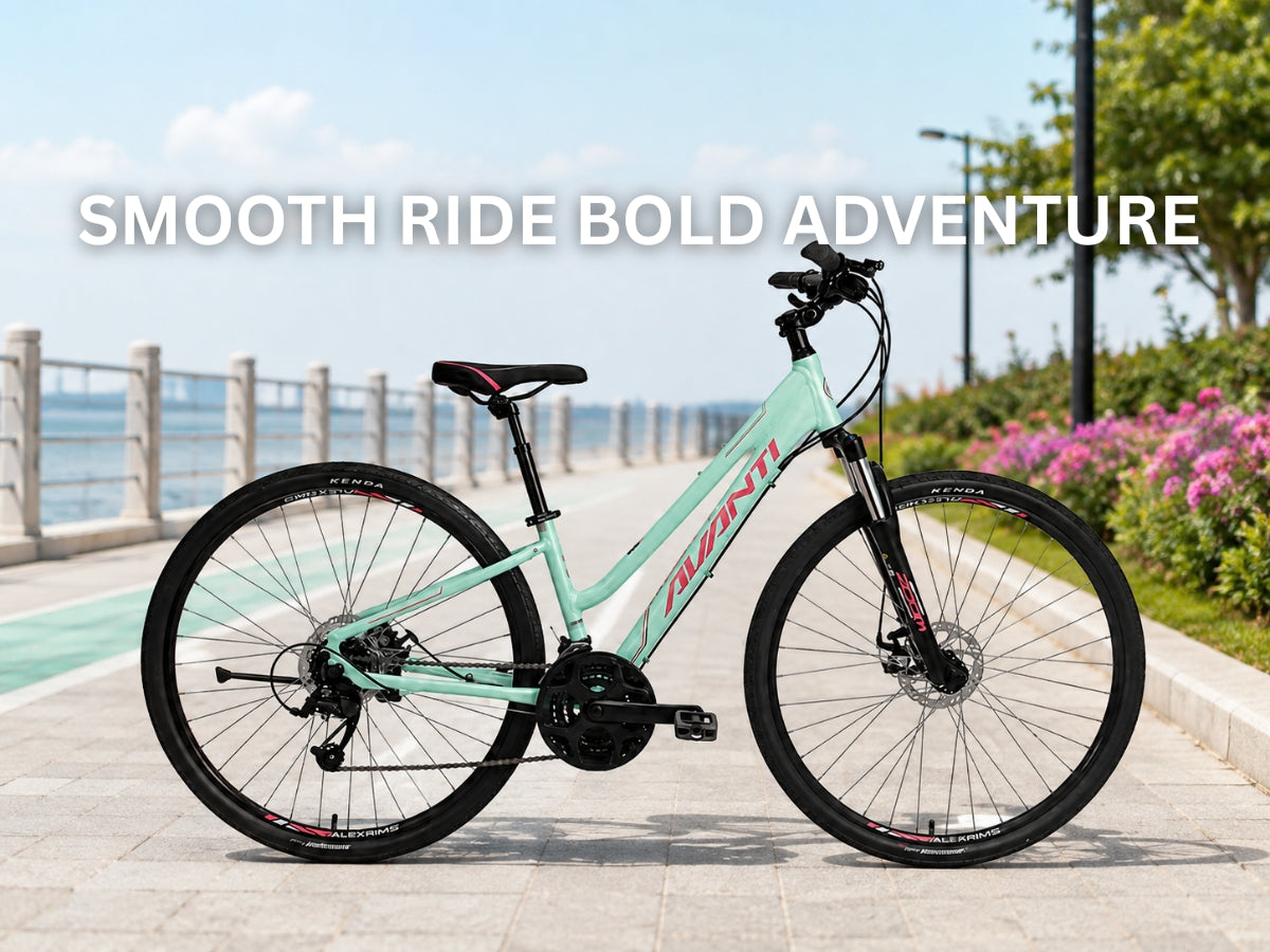 Avanti Discovery MS-1 Low Bicycle