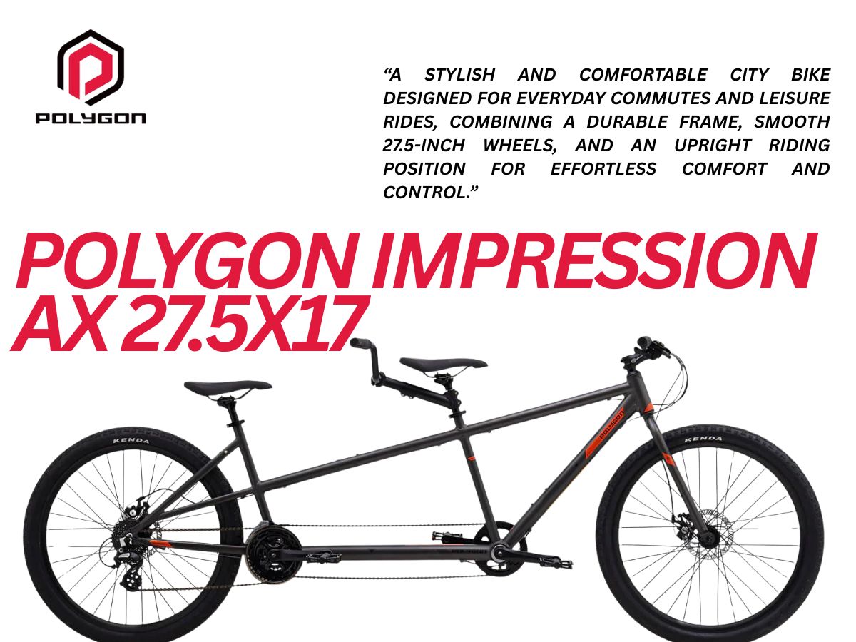 Polygon Impression AX Disc Tandem Bicycle