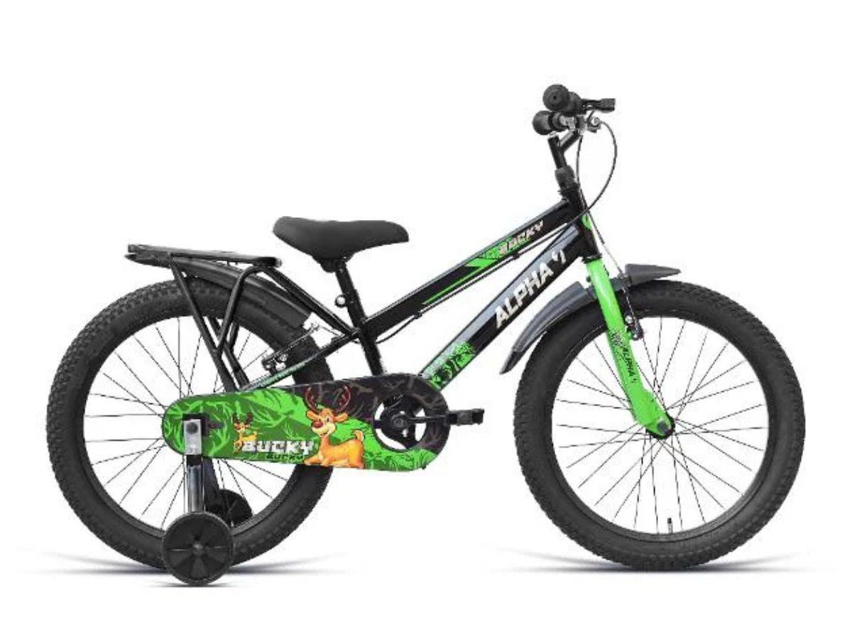 Ninety One 20 Bucky Bicycle