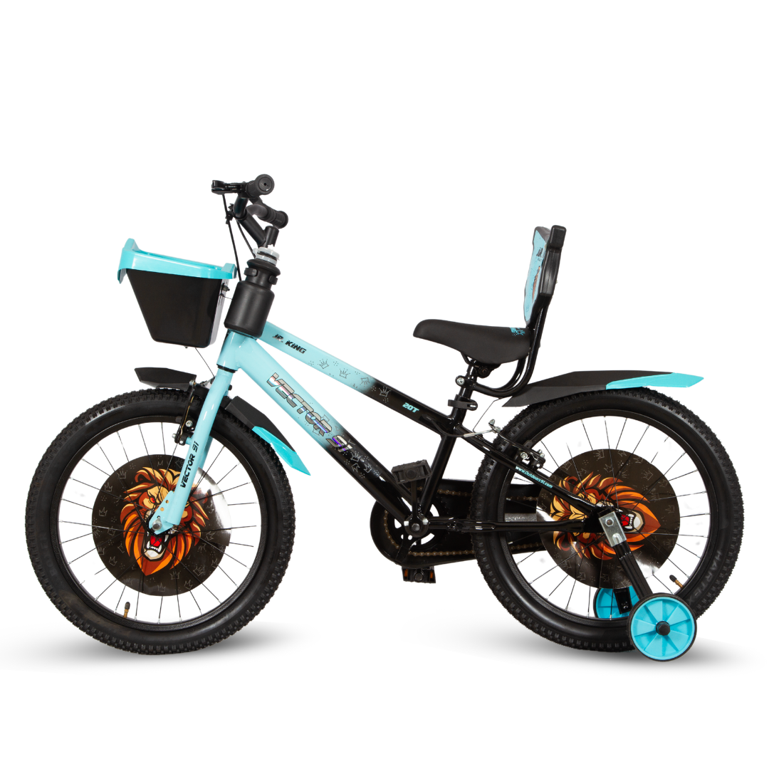 Ninetyone 20 JR King Bicycle