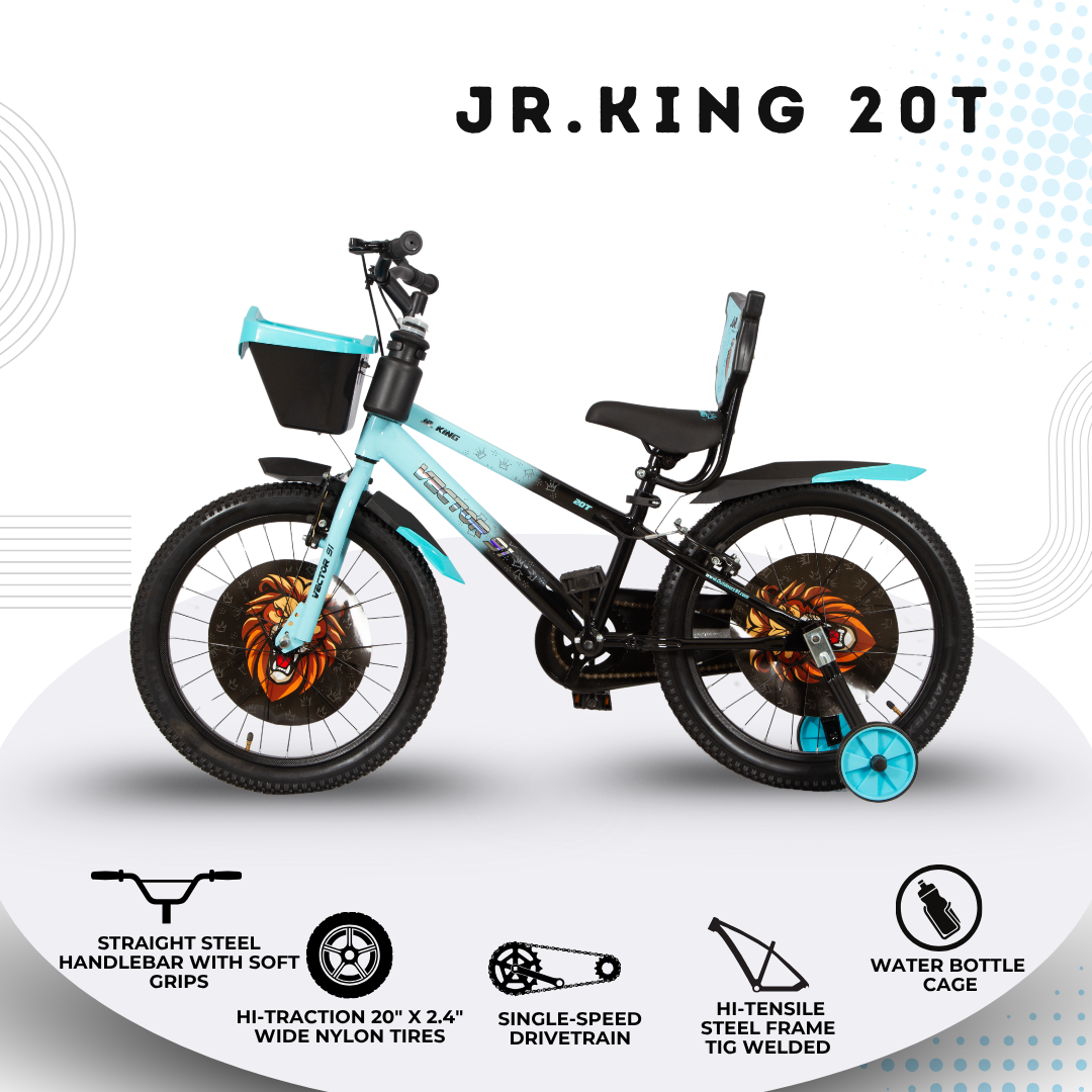 Ninetyone 20 JR King Bicycle