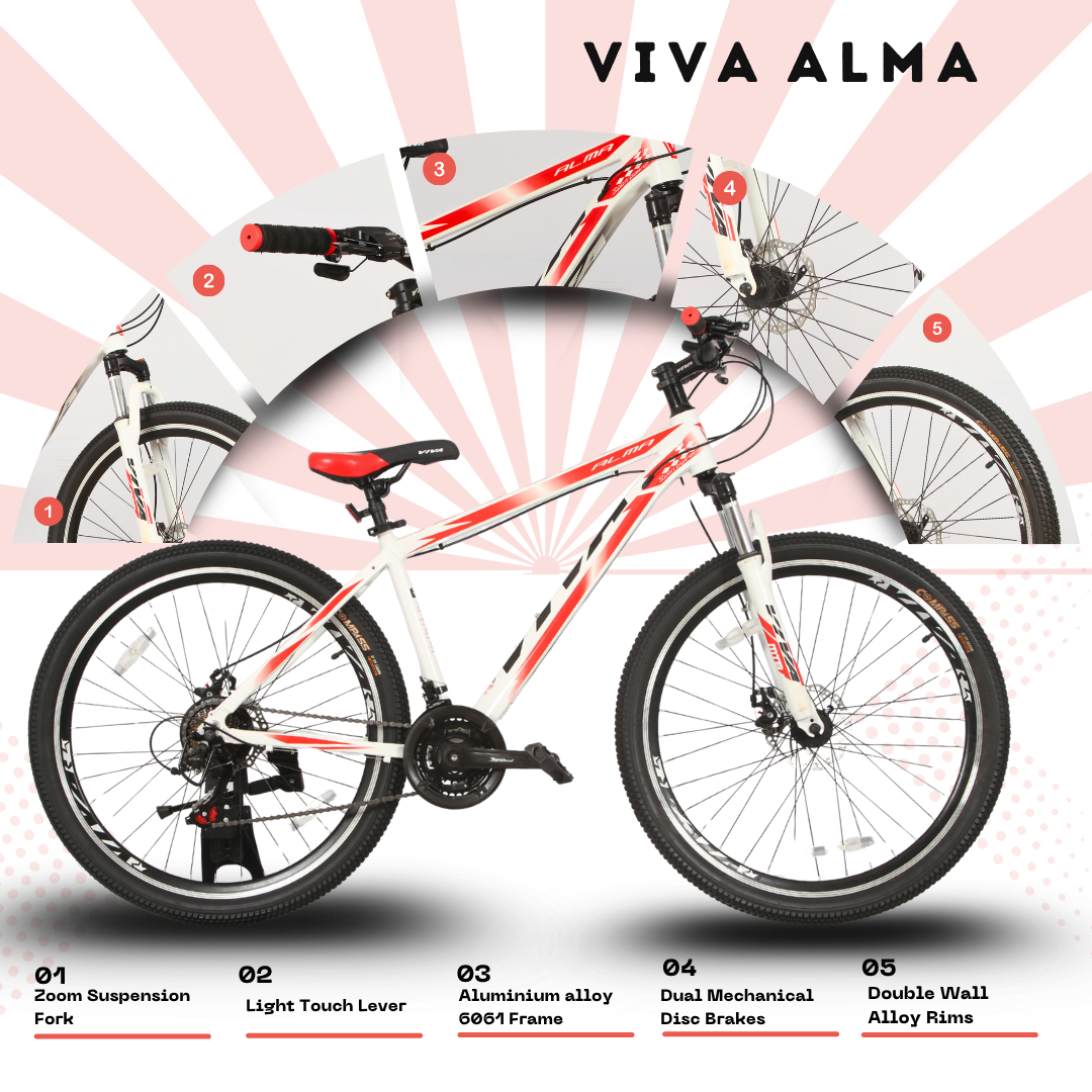 Viva 27.5 Alma 21 Speed