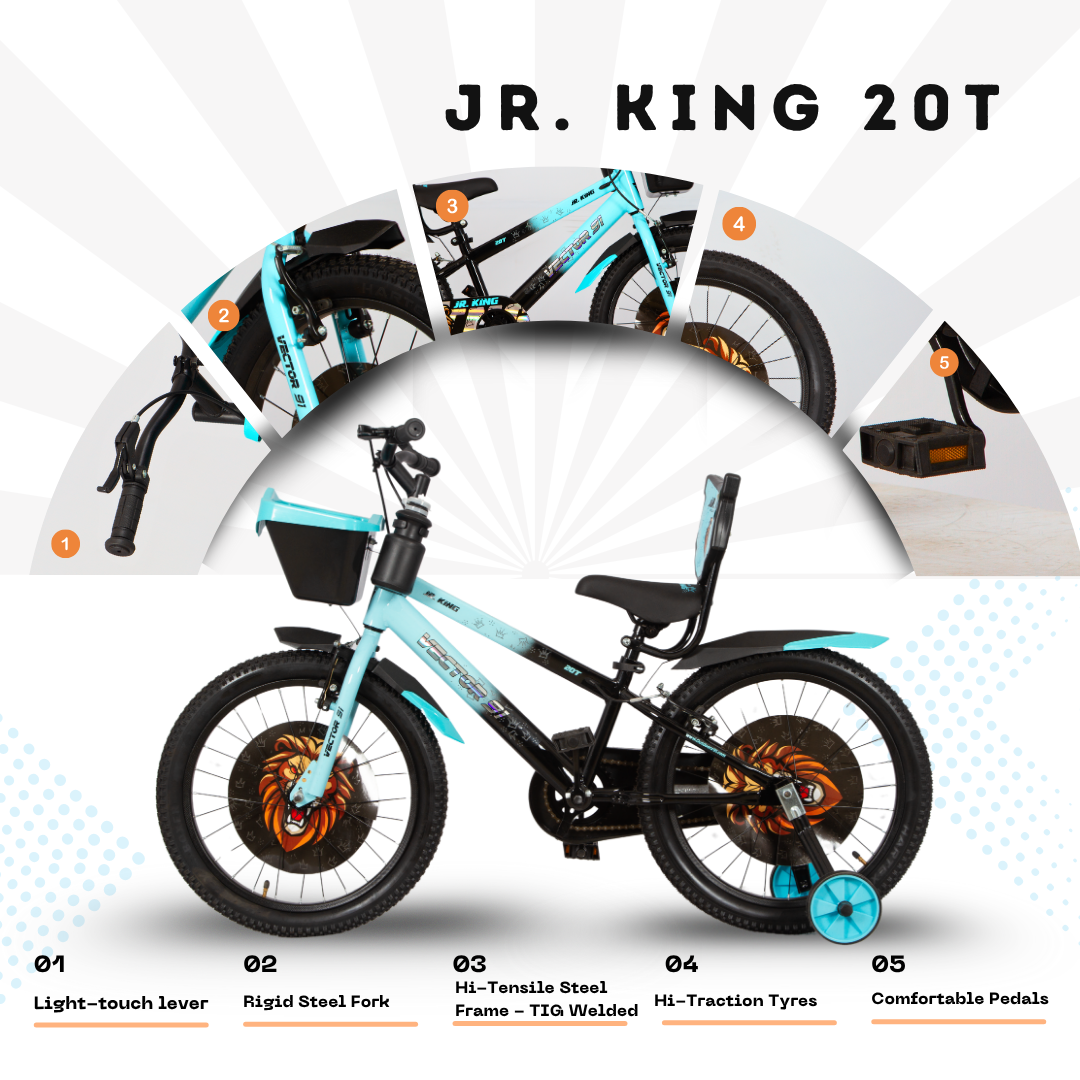 Ninetyone 20 JR King Bicycle