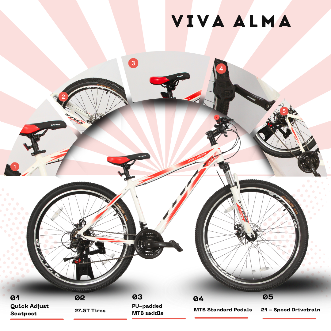 Viva 27.5 Alma 21 Speed