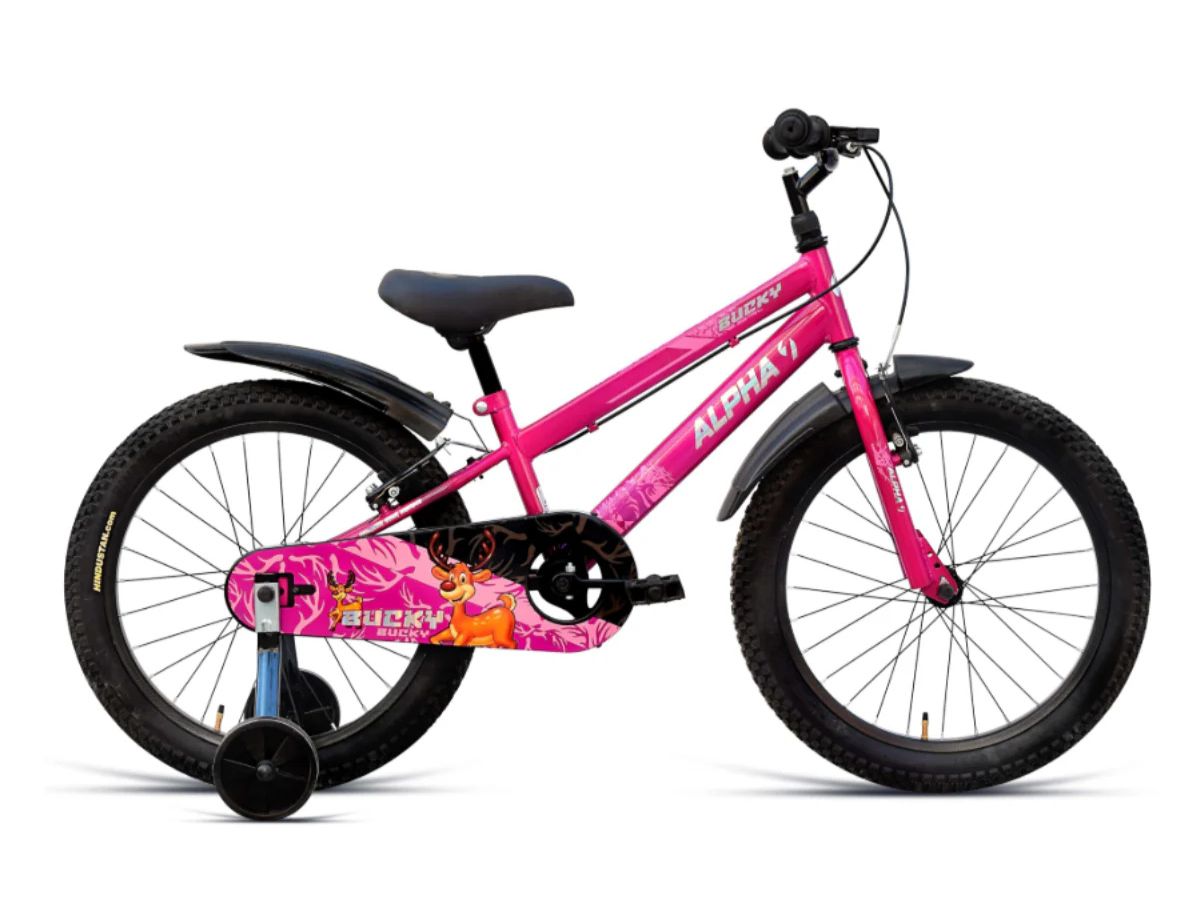 Ninety One 20 Bucky Bicycle