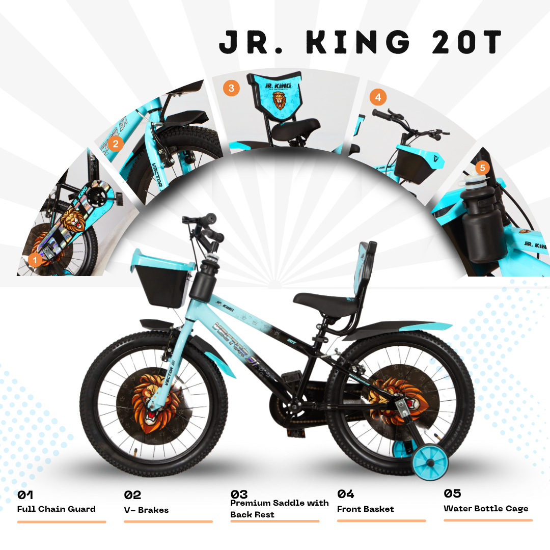 Ninetyone 20 JR King Bicycle