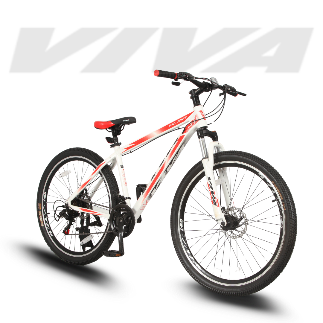 Viva 27.5 Alma 21 Speed