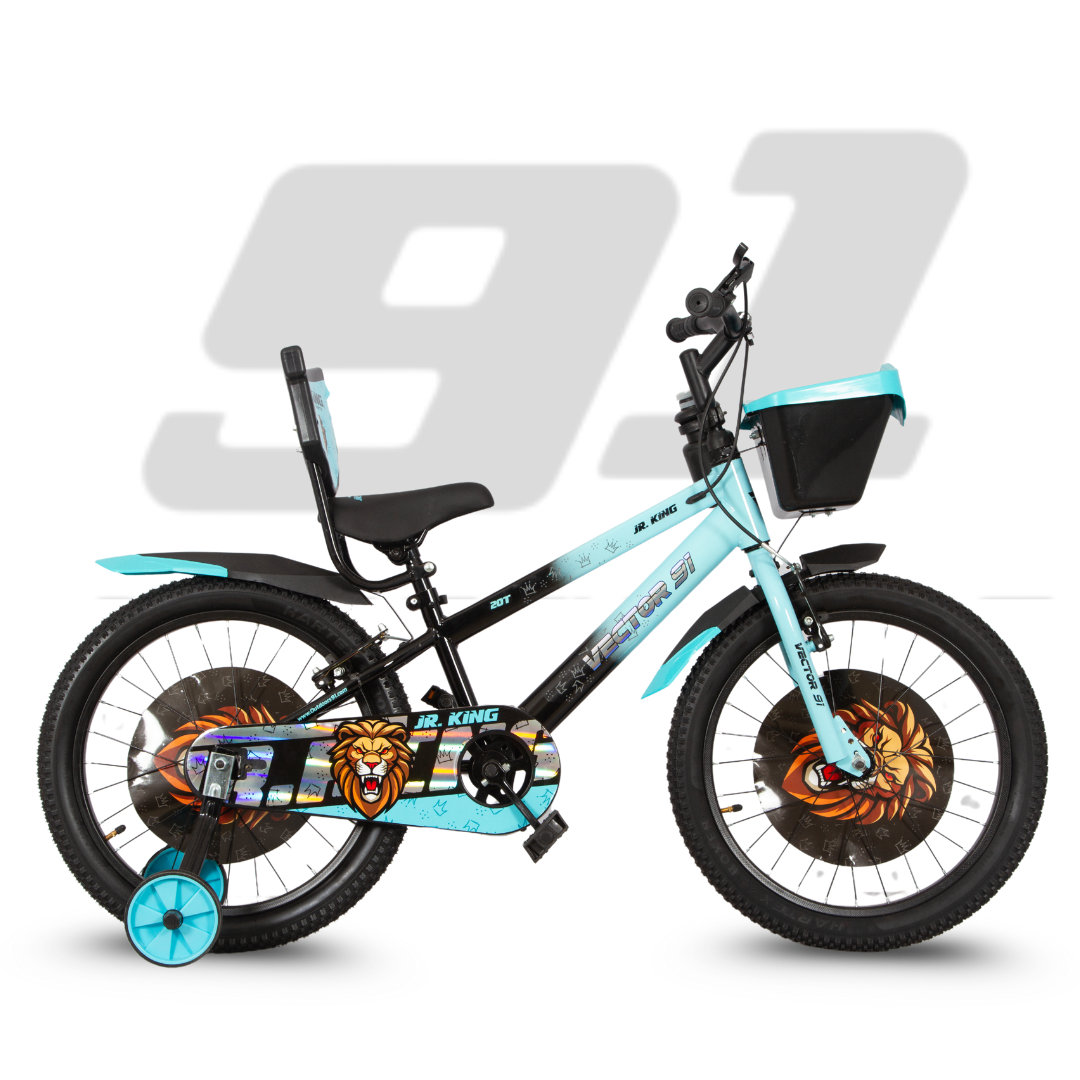 Ninetyone 20 JR King Bicycle