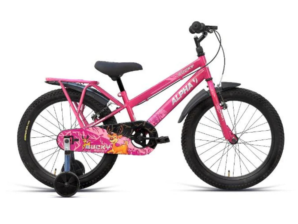 Ninety One 20 Bucky Bicycle