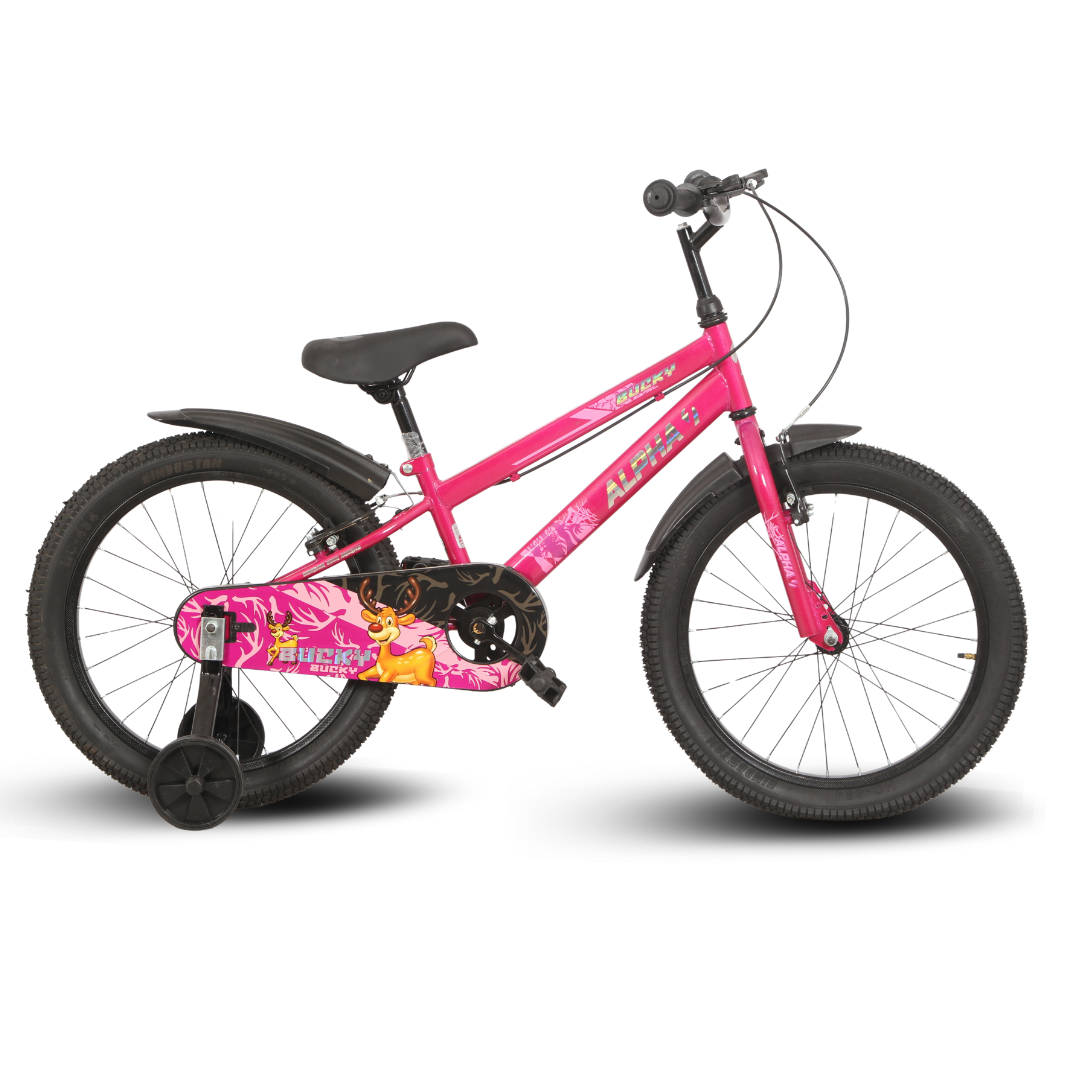 Ninetyone 20 Bucky Bicycle