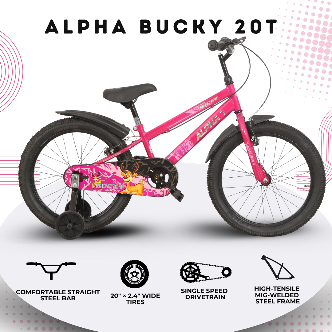 Ninetyone 20 Bucky Bicycle