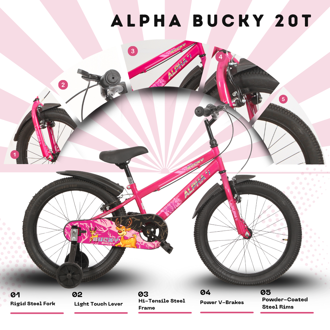 Ninetyone 20 Bucky Bicycle