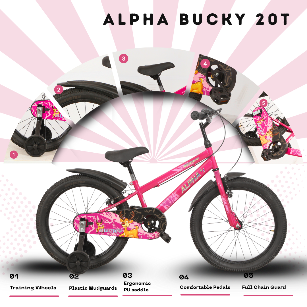 Ninetyone 20 Bucky Bicycle