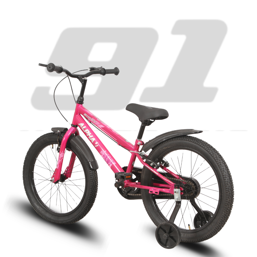 Ninetyone 20 Bucky Bicycle