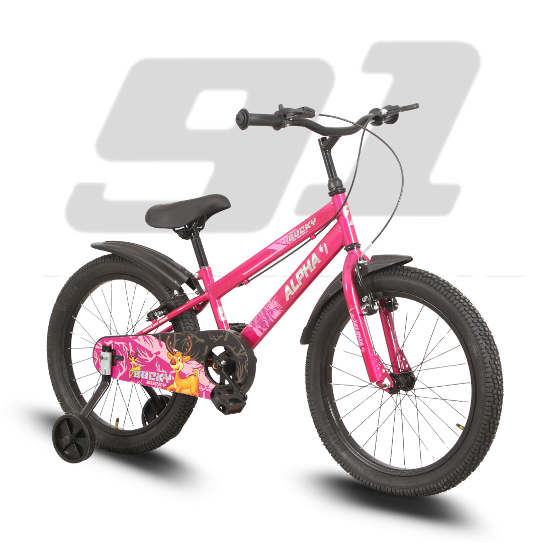 Ninetyone 20 Bucky Bicycle