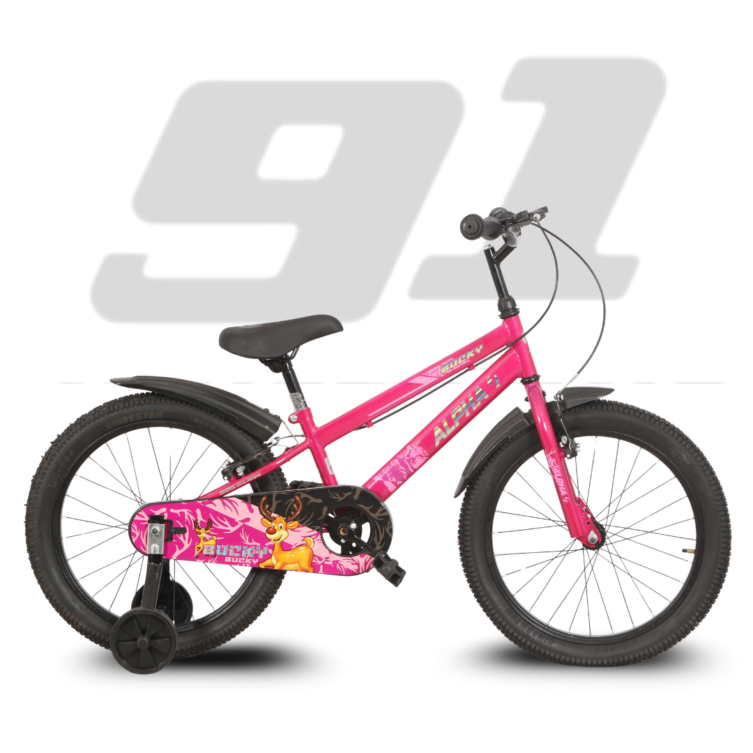 Ninetyone 20 Bucky Bicycle