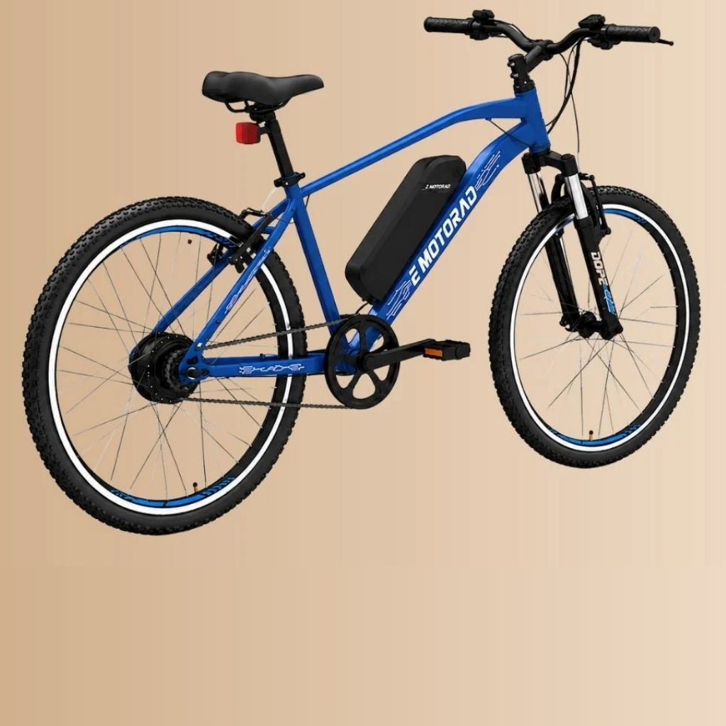 EMotorad Dope 24 FS SS V-BRK E-bicycle