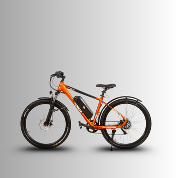 RIDEEZE VERSION M 7