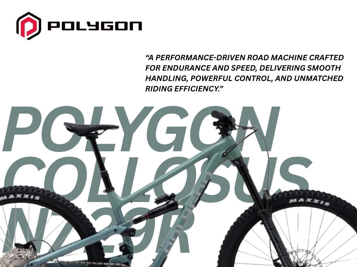 Polygon Collosus N7 29R