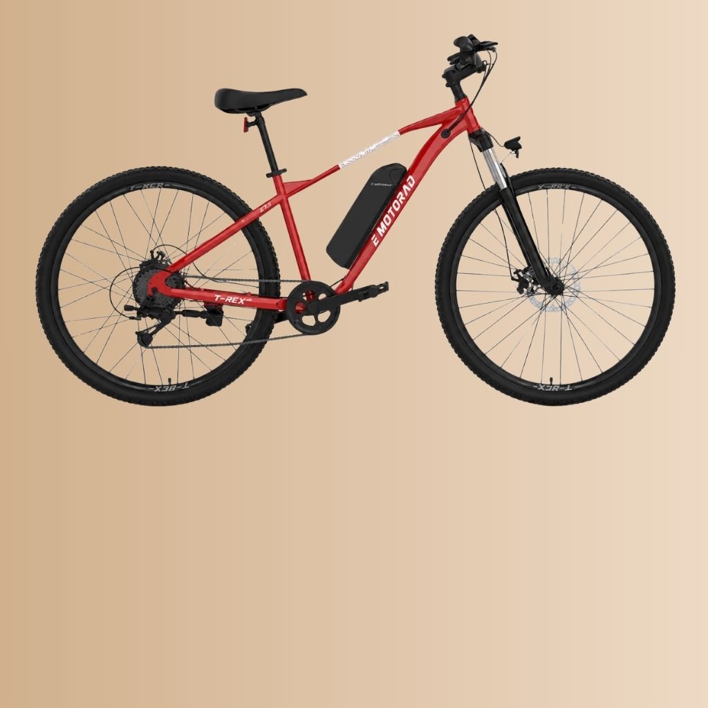 EMotorad 27.5 T-Rex Air